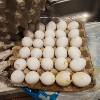 Çürük Yumurta Siparişi Ve Yetersiz Müşteri Hizmeti