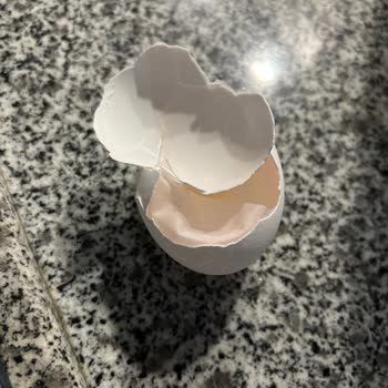 Kanlı Yumurta Şoku: Güvenilir Marka Hayal Kırıklığı