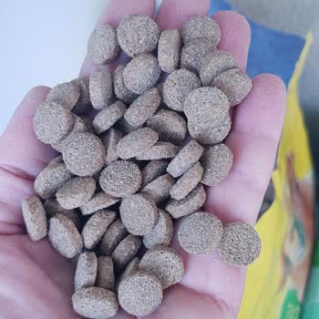 Econature Köpek Maması: Beklenen Kalitenin Altında