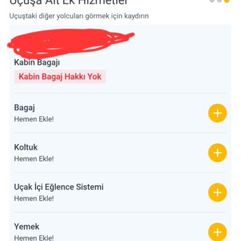 Kabin Bagajı Mağduriyeti
