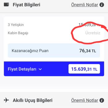Kabin Bagajı Mağduriyeti