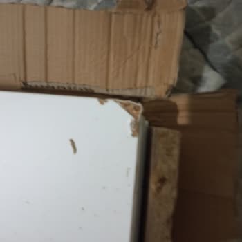 Eksik Ve Yanlış Ürün Gönderimi: İlgisiz Satıcı Sorunu