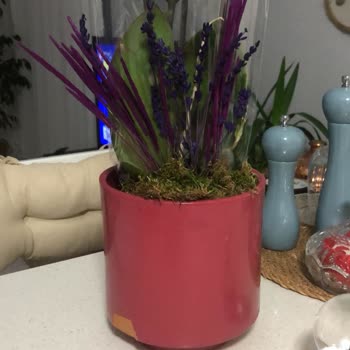 Yanlış Ve Eksik Gelen Doğum Günü Hediyesi Mağduriyeti