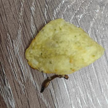 Lays Paketinden Çıkan Böcek Şoku