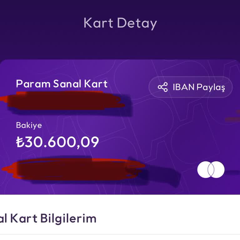 Param Uygulaması Erişim Sorunu Ve Kaybolan Bakiye