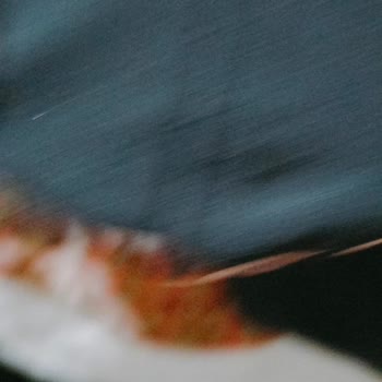 Suwen Mağazasından Hayal Kırıklığı