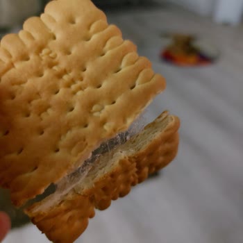 Migros Bisküvi İçinden Çıkan Şaşırtıcı Madde