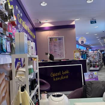 Soğuk Mağaza Ve Hijyen Sorunları