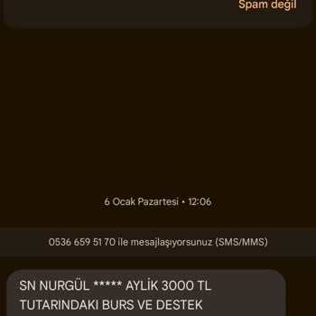 İzinsiz Kimlik Kullanımı Ve Yanıltıcı Mesajlar