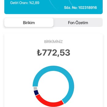 Zorunlu BES Kaydı Ve Artan Kesintilerle Mağduriyet