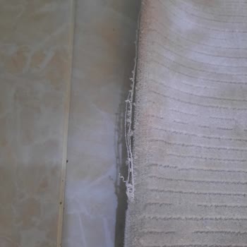 Defolu Koza Halı Ürünleri Ve Sivas Köşk Halı'nın İlgisizliği