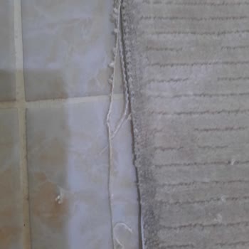 Defolu Koza Halı Ürünleri Ve Sivas Köşk Halı'nın İlgisizliği