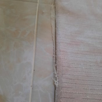 Defolu Koza Halı Ürünleri Ve Sivas Köşk Halı'nın İlgisizliği