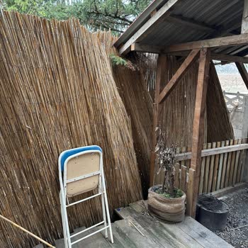 Poi Oberj Bolu Bungalov'da Hayal Kırıklığı: Konfor Ve Temizlik Sorunları!