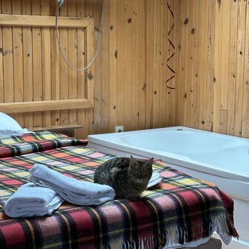 Poi Oberj Bolu Bungalov'da Hayal Kırıklığı: Konfor Ve Temizlik Sorunları!