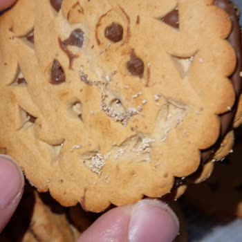 A101'den Alınan Bisküvilerde Kurt Sorunu Ve İletişimsizlik