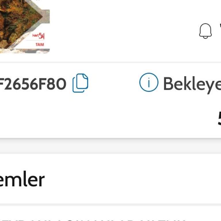 Kart 54 Bakiye Sorunu: Acil Destek Bekliyorum