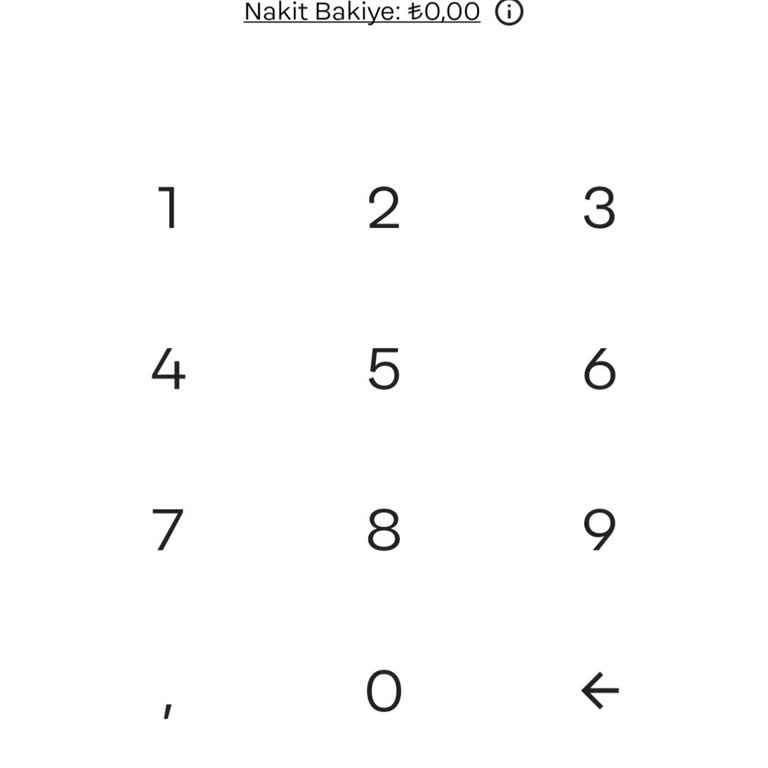 Papara Hesabında Görünmeyen Bakiye Sorunu