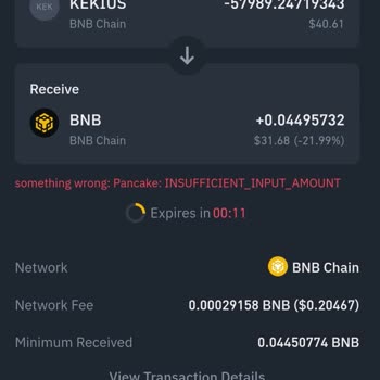 Unable to Swap Coins to BNB on Binance Web3 Wallet Due to Error
