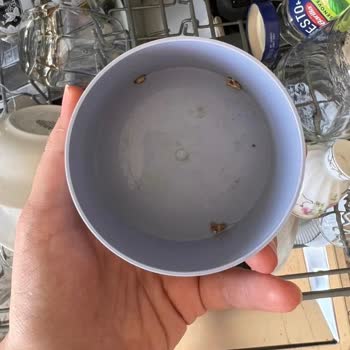 My Samsung Dishwasher Doesn’t Clean Properly Despite Service Visits