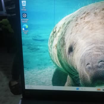 Acer Dizüstü Bilgisayarda Mavi Çizgi Sorunu Ve İletişim Problemi