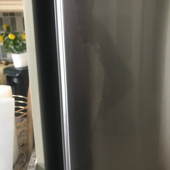 Paint Peeling on My Bosch Refrigerator Door – Requesting Replacement