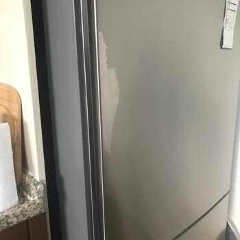 Paint Peeling on My Bosch Refrigerator Door – Requesting Replacement