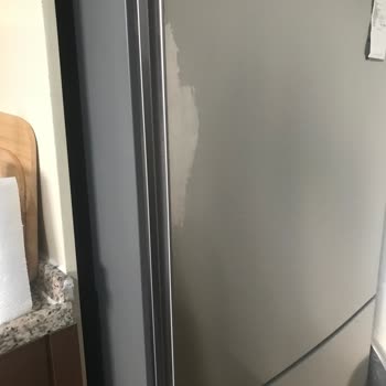 Paint Peeling on My Bosch Refrigerator Door – Requesting Replacement