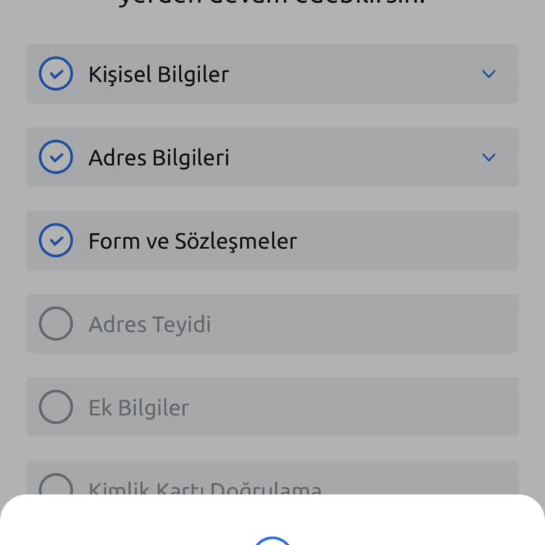 Hesap Bakiyesine Ulaşamama Ve Yetersiz Destek