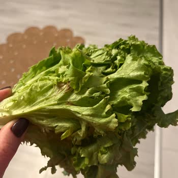 Migros Online Alışverişte Tekrarlayan Sorunlar