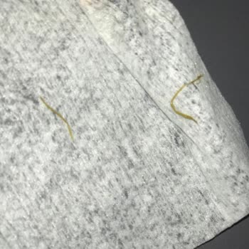 Islak Mendil İçinde Yabancı Maddeler