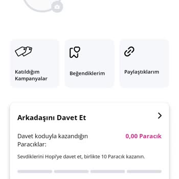 Hopipay'de Hayal Kırıklığı: Boş Vaatler Ve Kişisel Bilgi İstismarı