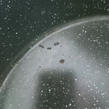 Taç Tencere Kalite Sorunu Ve İletişimsizlik