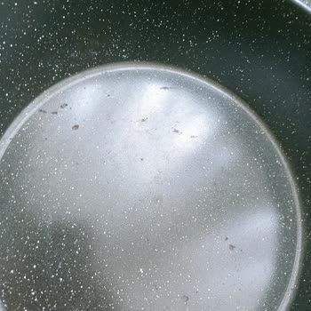 Taç Tencere Kalite Sorunu Ve İletişimsizlik