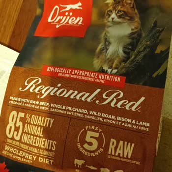 Yanlış Gönderilen Kedi Maması Ve İletişim Sorunları