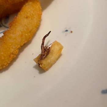 Siparişte Böcek Bacağı Şoku