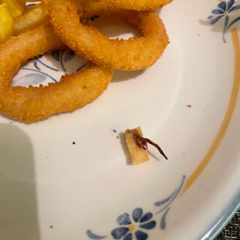 Siparişte Böcek Bacağı Şoku