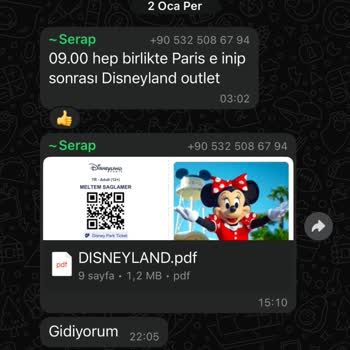 Benelux-Paris Turunda Hayal Kırıklığı: Eski Otobüsler, Yetersiz Rehberlik Ve İletişim Sorunları