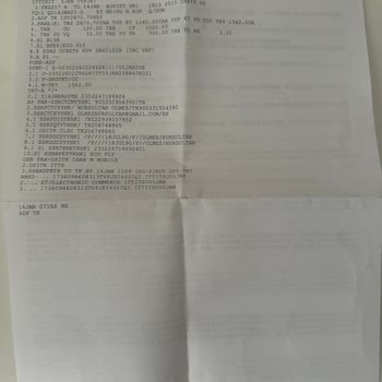 Kedilerimle Uçuşta Yaşanan Haksız Engelleme