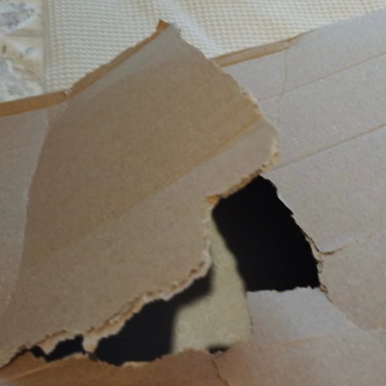 Yırtık Gelen Kargolarla Sürekli Karşılaşma
