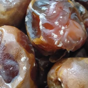 Küflenen Hurma Ve İlgisiz Müşteri Hizmetleri