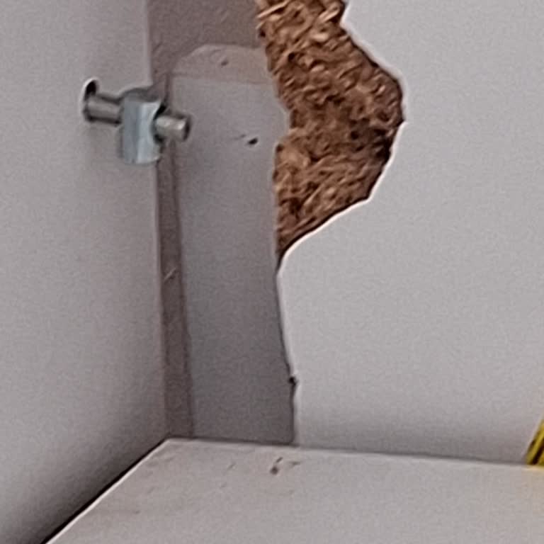 Garanti Ve Ürün Kalitesi Sorunu