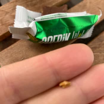 Kahve Dünyası'nda Gofrik Minilerden Çıkan Kabuk Şoku!