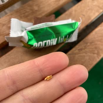 Kahve Dünyası'nda Gofrik Minilerden Çıkan Kabuk Şoku!