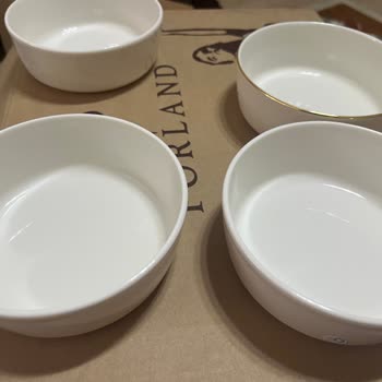Porland Chopin and Botanical Dinner Sets Arrived Damaged and Incomplete