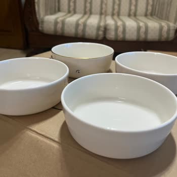 Porland Chopin and Botanical Dinner Sets Arrived Damaged and Incomplete
