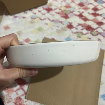 Porland Chopin and Botanical Dinner Sets Arrived Damaged and Incomplete