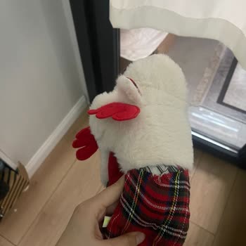 Trendyol'dan Alınan Twigy Pandufun Kalitesizliği Ve İade Sorunu