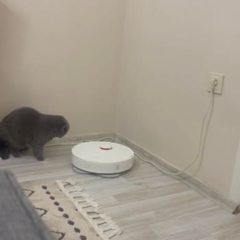 Robot Süpürge Garanti Sorunu Ve Yanlış Suçlama