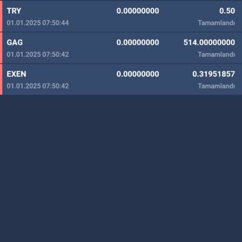 Bitexen Hesabımdaki Coinlerin İzinsiz Çekilmesi